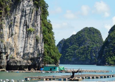1044 2016 Tour - Bai Tu Long Bay - Austernfarm mit Haus