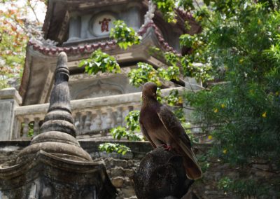 1162 2016 - Hue nach Hoi An - Marble Mountain