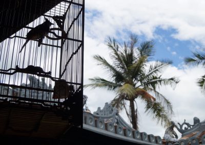 1178 2016 - Hoi An - Altstadt