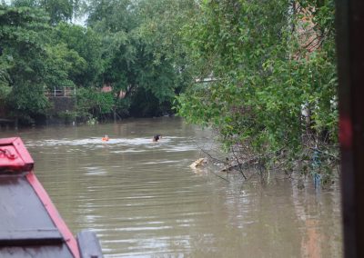 1219 2016 - Mekong Delta - Cai Be Bootstour
