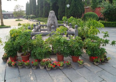 810 2016 Luoyang - White Horse Temple