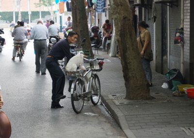 867 2016 Shanghai Back Streets Hundetransport