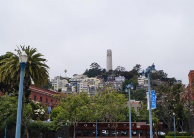 DSC01712