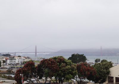DSC01774