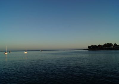 DSC02084