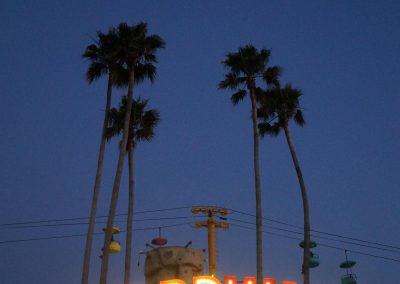 DSC02135