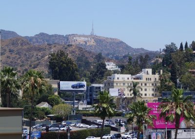 DSC02617