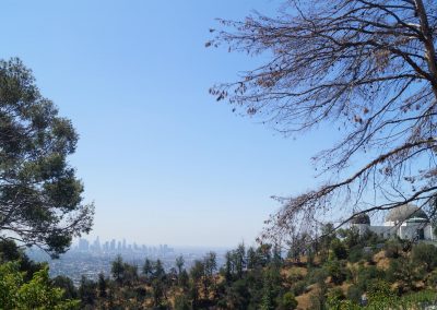 DSC02750