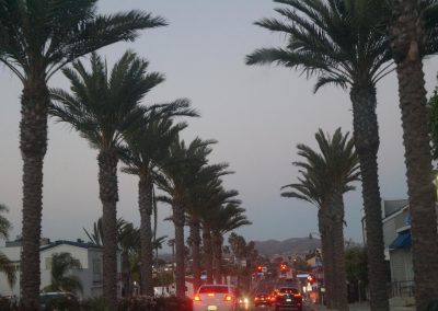 DSC02920
