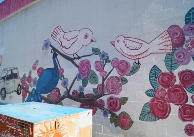 DSC03048