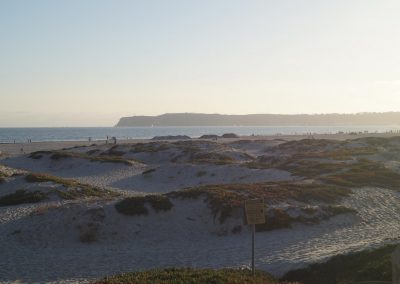 DSC03068