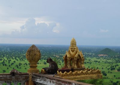 DSC06956