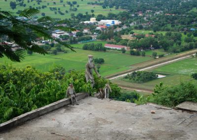 DSC06995
