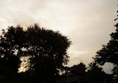 DSC07125