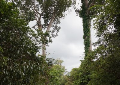 DSC07186