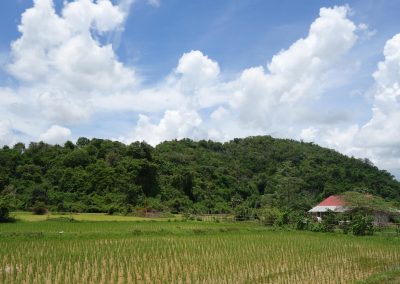 DSC07484