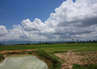 DSC07490