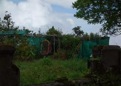 DSC07699