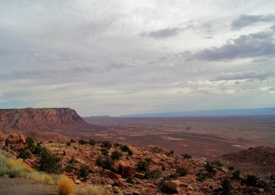 DSC04531